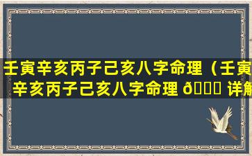 壬寅辛亥丙子己亥八字命理（壬寅辛亥丙子己亥八字命理 🐕 详解）